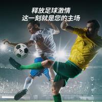 安格耐特（Agnite） F1203 PVC机缝足球 5号标准足球 黑白色 (单位:个)