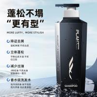和风雨（Hefengyu） HFY00991 洗发水 500ml*1 黑色（单位：瓶）