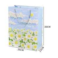 极度空间 jd-19 油画礼品袋 26*12*33CM （单位：个） 新旧款随机发货