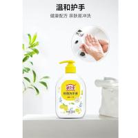 立白（Liby） 润之素 抑菌洗手液 500g/瓶 （单位：瓶）