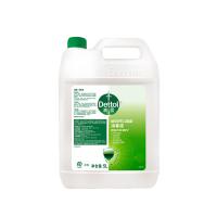 滴露（Dettol）消毒液 家用商用酒店衣物环境消毒杀菌 大桶装 5L（单位：桶）