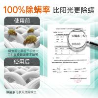 滴露（Dettol）衣物除菌液 经典松木 3L（单位：瓶）新旧包装随机发货