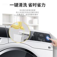 绿之源（GREEN SOURCE） Z-7316 洗衣机清洁除菌液 500ml (单位:瓶)