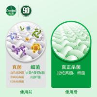 滴露（Dettol） 衣物除菌液内衣裤除菌 纯白椰香 750ml (单位:瓶) 新旧包装随机
