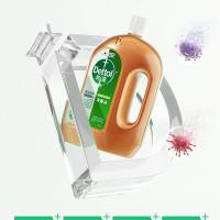 滴露（Dettol）  杀菌除螨 衣物消毒液 1.8L*2瓶 （单位:瓶）