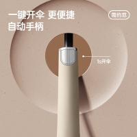 美度（MAYDU） M7005 晴雨伞 65cm*24k （单位:把） 奶茶色