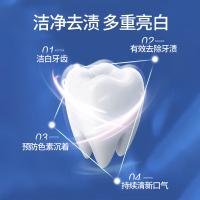 纳爱斯  薄荷香型 自然盐白牙膏 120g（单位：支）新老包装随机发货