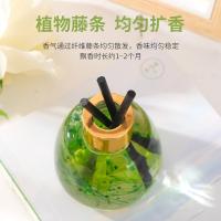 绿之源（GREEN SOURCE） Z-5031 无火香薰藤条 雨后栀子 120ml（单位：瓶）