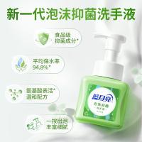 蓝月亮 抑菌99.9% 泡沫抑菌洗手液 255ml 天然芦荟 绿色（单位：瓶）
