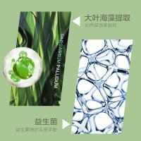 柏缇（POTE） 海藻益生菌去屑滋养 洗发水 新老包装随机发货 505ml （单位:瓶）