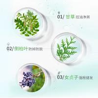 霸王（BAWANG） 控油去屑型 防脱洗发液 750ml （单位：瓶）绿色