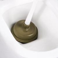 茶花（CHAHUA）马桶疏通器4320 通厕所下水道神器44cm*16cm（单位：个）