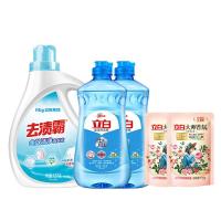 立白（Liby） 洁净去渍霸全效洗衣液五件套 大师香氛洗衣液100g*2+盐洁洗洁精460g*2+去渍霸洗衣液1500g*1 2620g （单位：套）