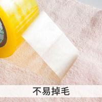 艾逸瑶选 JQ-0085 逸洁多功能清洁巾 5片装 （单位：袋） 绿色