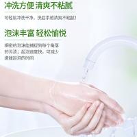 蓝月亮 芦荟抑菌洗手液 补充装 500g（单位：袋）