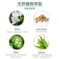 天然之扉 野生姜盈润 洗发水 532ml 白色（单位：瓶）
