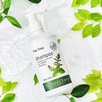 天然之扉 茶树清爽 洗发水 532ml（单位：瓶）