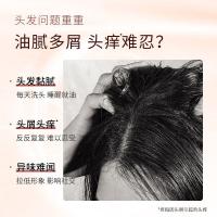 滋源（seeyoung） 洗头水 茶籽控油去屑油性535ml（单位：瓶）