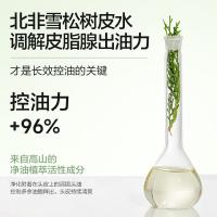 柏缇（POTE） 北非雪松控油蓬松 洗发水 505ml（单位：瓶）
