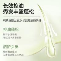 柏缇（POTE） 北非雪松控油蓬松 洗发水 505ml（单位：瓶）