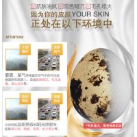 片仔癀 B112雪肌无暇润白泥 面膜 200g（单位：瓶）