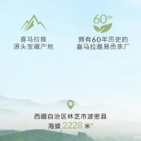 自然堂 喜马拉雅茶泥 清洁面膜 100g 绿色（单位：瓶）