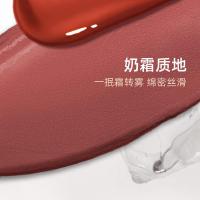 蜜丝婷 V01 奶咖唇霜口红 2.6g (单位:支) 海岸余晖