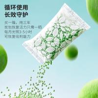 绿之源（GREEN SOURCE） Z-6389 绿净王全新二代分解型活性炭 3.2KG (100G × 32包) (单位:箱)