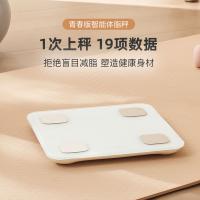网易严选 智能体脂秤 NIT-SCALE-01-BODYFAT 蓝牙4.0 (单位:台) 低碳白