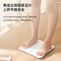 网易严选 智能体脂秤 NIT-SCALE-01-BODYFAT 蓝牙4.0 (单位:台) 低碳白