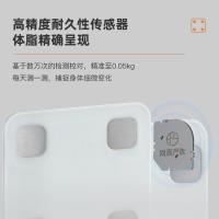 网易严选 智能体脂秤 NIT-SCALE-01-BODYFAT 蓝牙4.0 (单位:台) 低碳白
