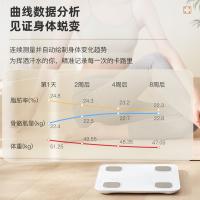 网易严选 智能体脂秤 NIT-SCALE-01-BODYFAT 蓝牙4.0 (单位:台) 低碳白