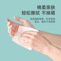 艾逸瑶选 AYYX800-12 柔韧亲肤无芯卷纸 5层 135*130mm/节 12卷/提(单位：提)