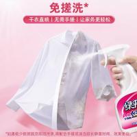 绿伞 衣领净 洗衣液 500g*2瓶 白色（单位：组）