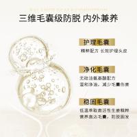 滋源（seeyoung） 生姜强根健发防脱洗头水  535ml（单位：瓶）新老包装随机发货