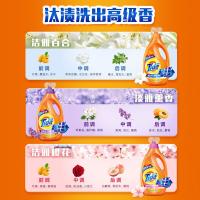汰渍（TIDE）全效升级洗衣液淡雅薰香1KG（单位：瓶）新旧包装随机发货
