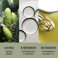 柏缇（POTE） 海盐净透+北非雪松 控油洗沐套装 505ml/瓶 2瓶/套(单位：套) 包装随机