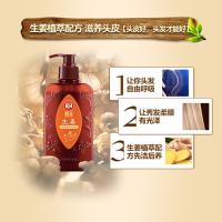 霸王（BAWANG） 生姜强韧焕能洗发液 适用多种发质 400ml (单位:瓶) 新老包装随机发货