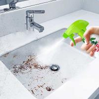 水卫仕（seaways） 浴室 清洁剂 500G (单位: 瓶)