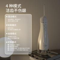 博皓 F27Pro 便携式冲牙器 300ML （单位:个）白色