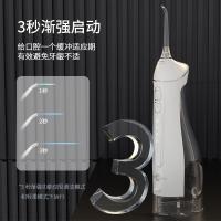 博皓 F27Pro 便携式冲牙器 300ML （单位:个）白色