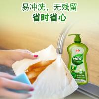 洁劲100 橄榄洗洁精 850g （单位：瓶）