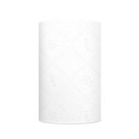 洁柔（C&S） TW001801A 立体压花无芯卫生卷纸 138mmx138mm 70g/卷 10卷/提 (单位: 提)