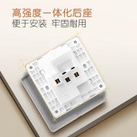 公牛（BULL） G12Z223AS 暗装插座面板 二三极宽体  十只装（单位：组）银色