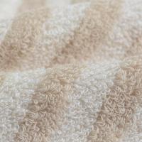 洁丽雅（grace） JD-W2128W0645 毛巾浴巾抗菌套装 浴巾140*70cm*1条/毛巾74*34cm*2条 （单位：套） 浅棕