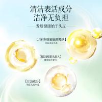 舒蕾 小苍兰控油蓬松 顺滑洗发水 510g/瓶 2瓶/套 （单位：套） 绿色