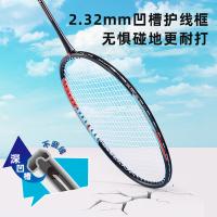 得力（deli） 单支羽毛球拍 FH119 约665mm 含球拍包 (单位:支) 黑色