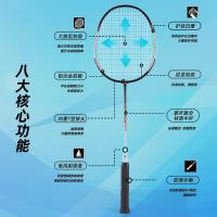 得力（deli） 单支羽毛球拍 FH119 约665mm 含球拍包 (单位:支) 黑色