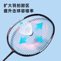 得力（deli） 单支羽毛球拍 FH119 约665mm 含球拍包 (单位:支) 黑色