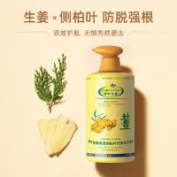 琴叶 生姜洗发水 控油清洁 p104 1L (单位:瓶)